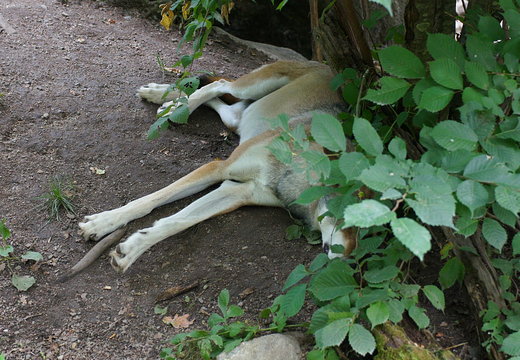 DSC05509