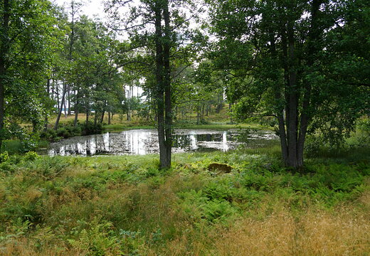 DSC04863
