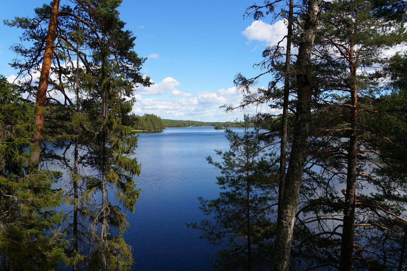 Sävsjön