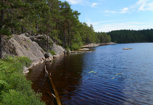 DSC04440