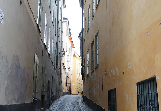 DSC05394