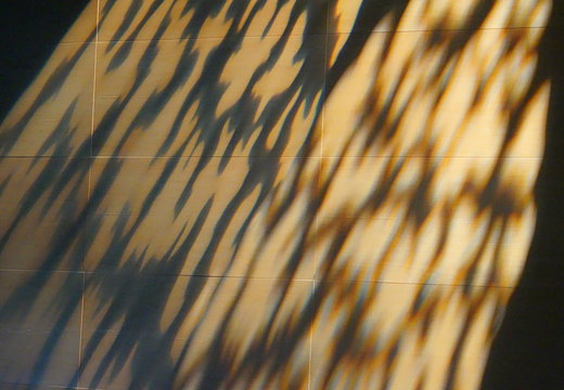 DSC00565