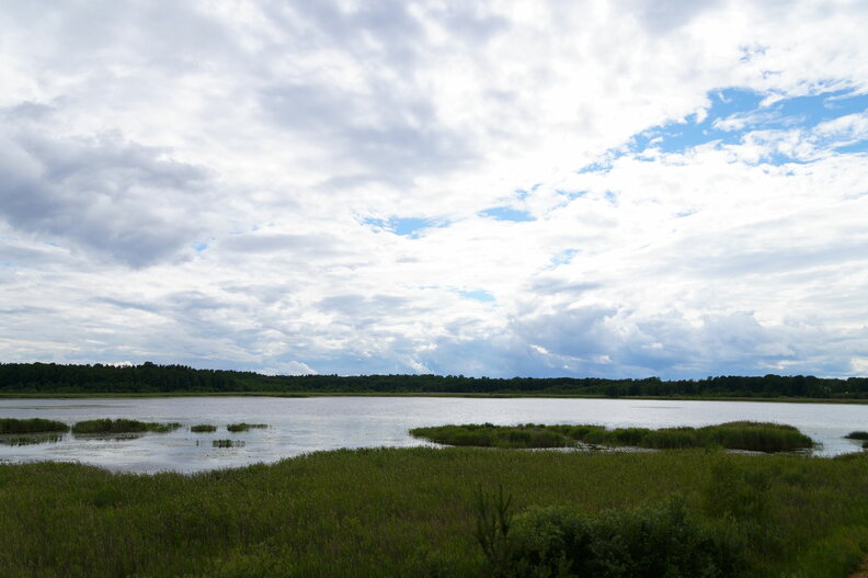 DSC04166.JPG