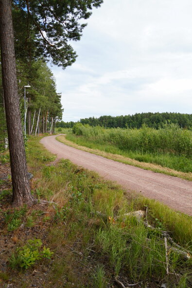 DSC04169.JPG