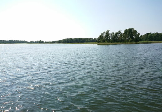 IMG 20200716 161301