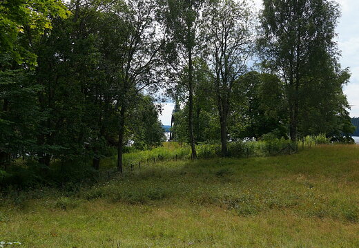 DSC04733