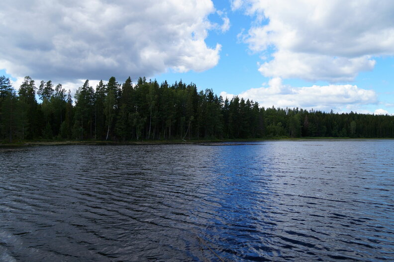 DSC04564.JPG