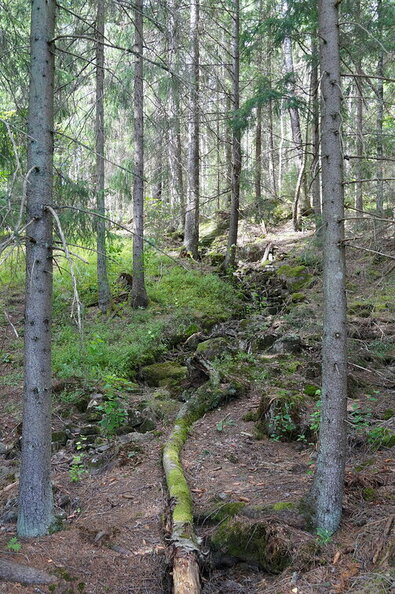 DSC04616.JPG