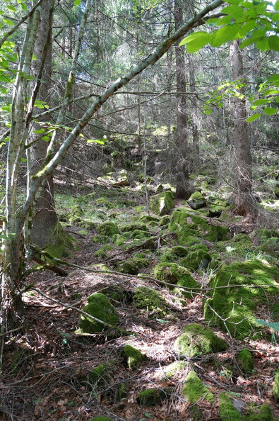 DSC04617.JPG