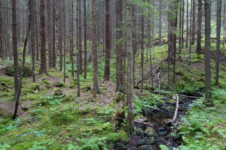 DSC04624.JPG