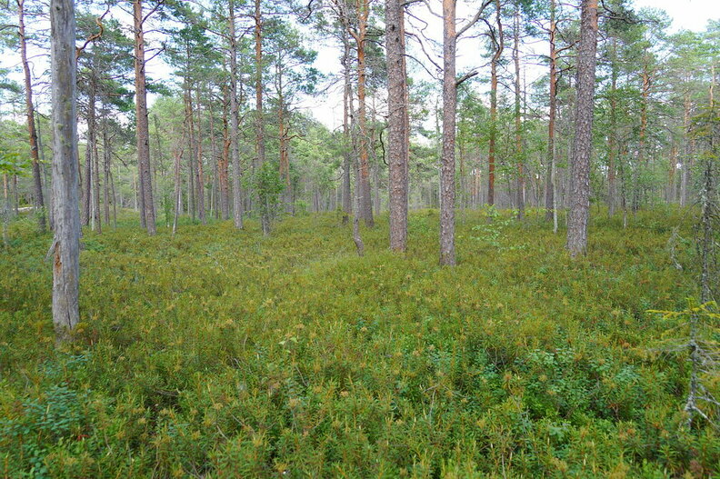 DSC04636.JPG