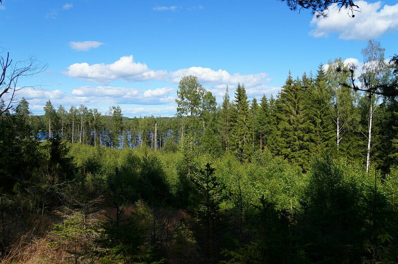 DSC04639.JPG