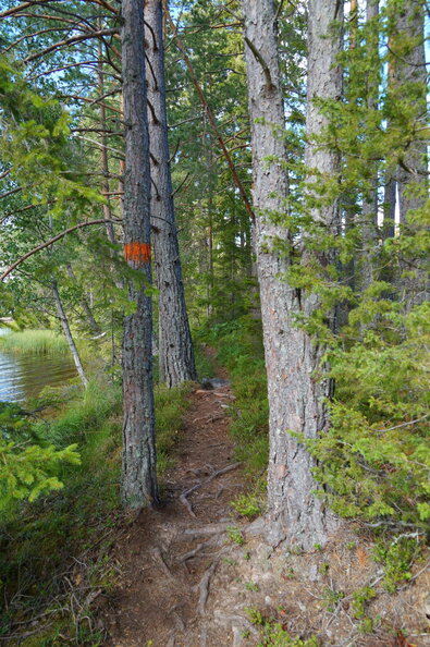 DSC04645.JPG