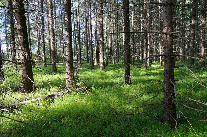 DSC04669.JPG