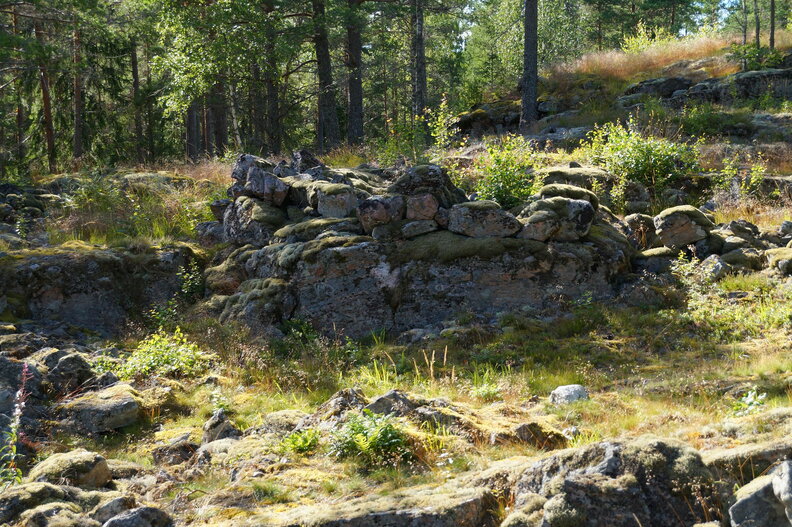 DSC04700.JPG