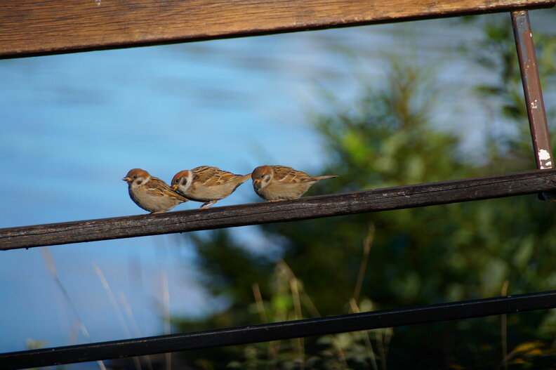 DSC04713.JPG